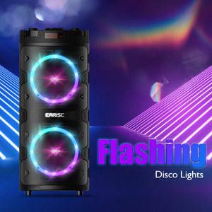 EARISE M62 Karaoke Machine for Adults and Kids, Flashing DJ Lights, TWS Pairing
