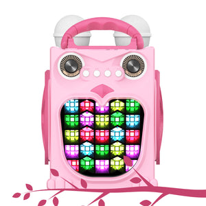 EARISE K25P Karaoke Machine for Kids Girls, Karaoke System Set with 2 Microphones